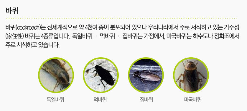 월드환경 이미지