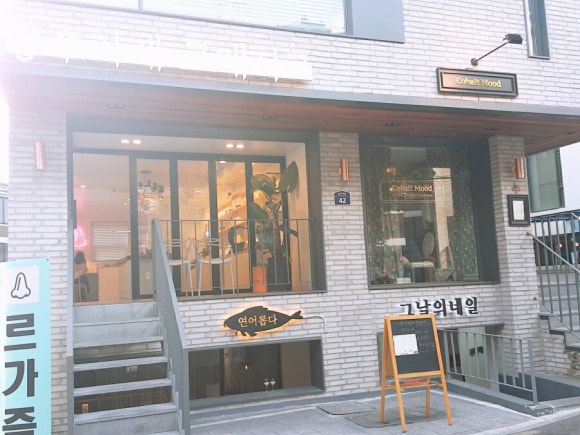 로매지크 이미지