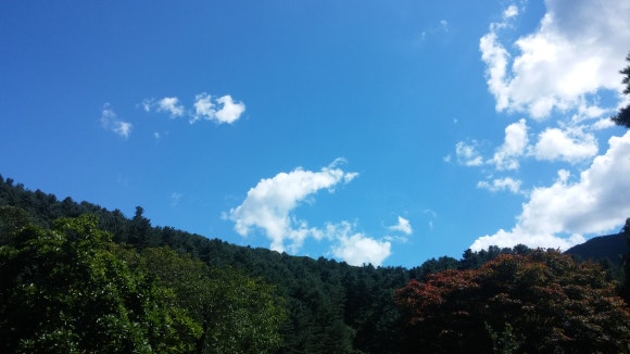 강동경희대학교병원장례식장근조화환꽃집 이미지