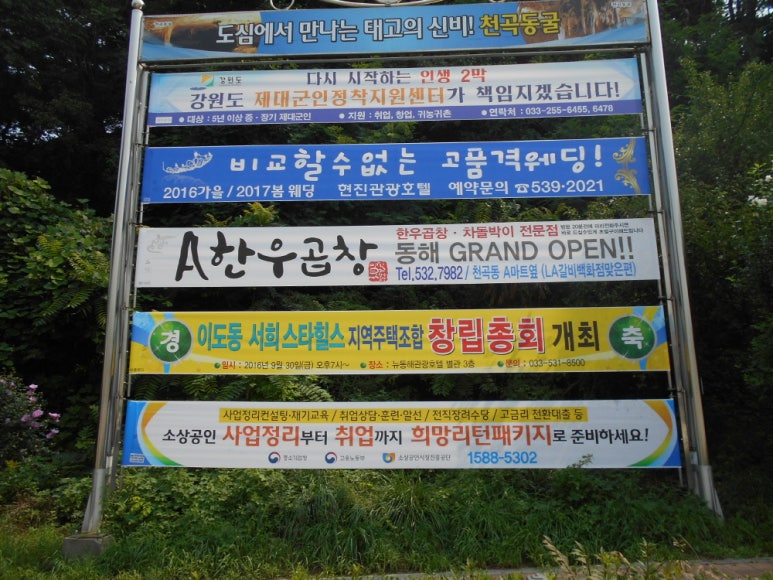 동해 현수막 디자인 이미지