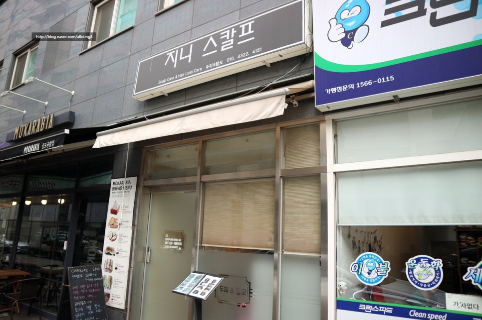 지니스칼프 이미지