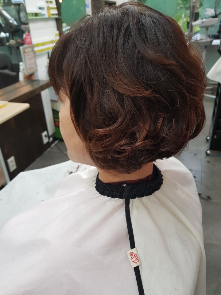 글로리아헤어 이미지