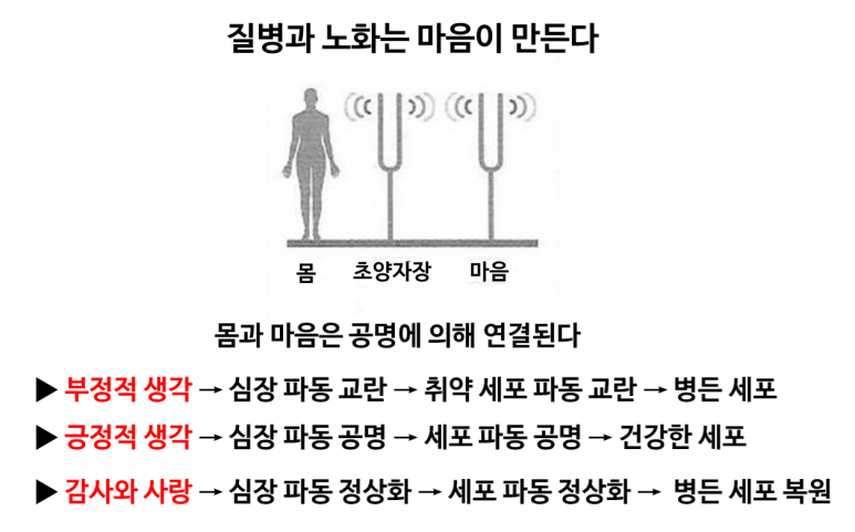 파동에너지 이미지