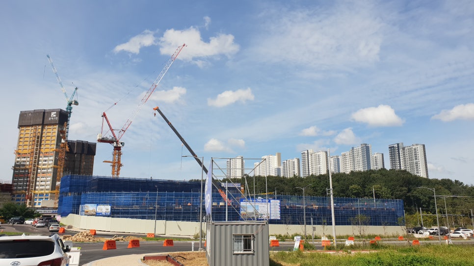퍼스터진주 이미지