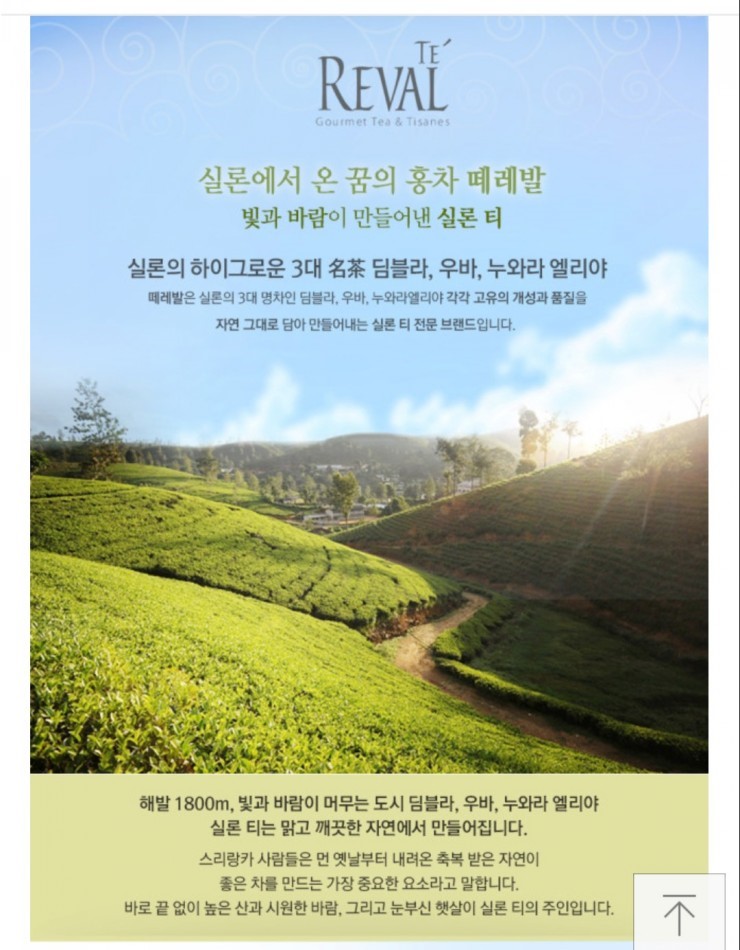 실론 스파이스 이미지