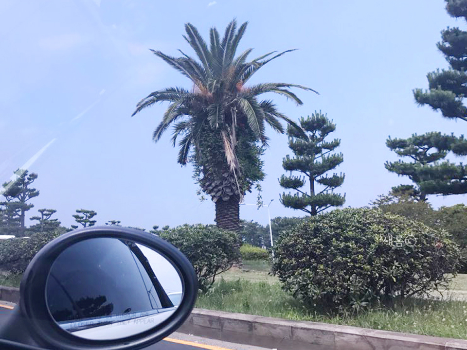가나렌트카주 이미지