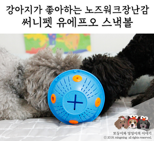 써니펫 이미지