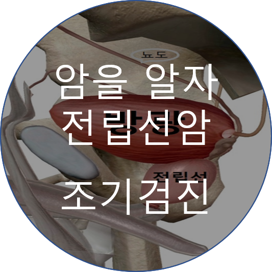 센신코리아 이미지