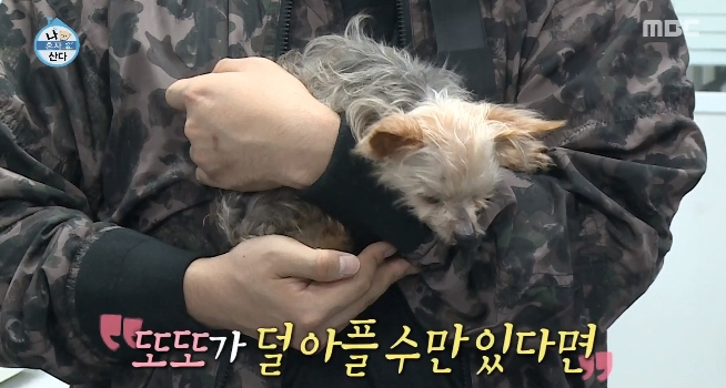 또또행복 이미지