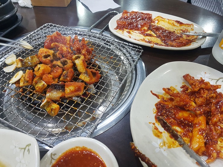 대구아나고곰장어 이미지