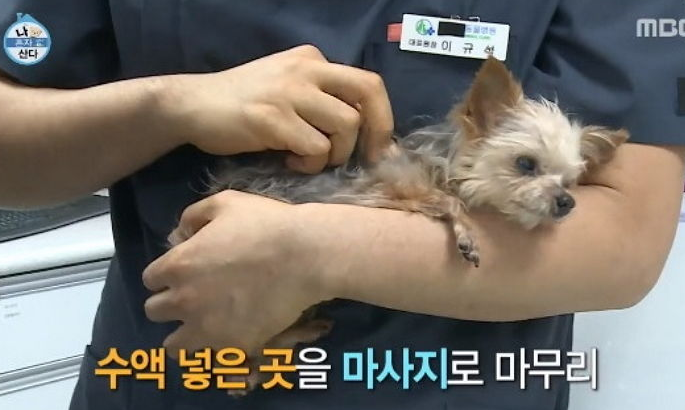 또또행복 이미지
