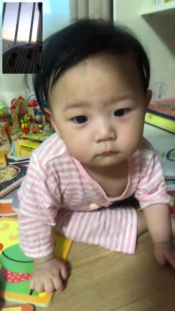 에이치플랜트 이미지
