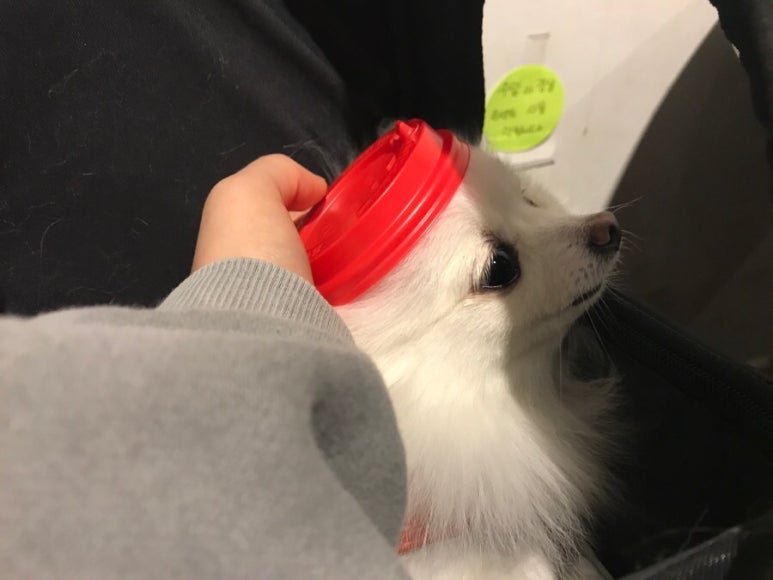 커피아 이미지