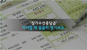 지지수선 이미지