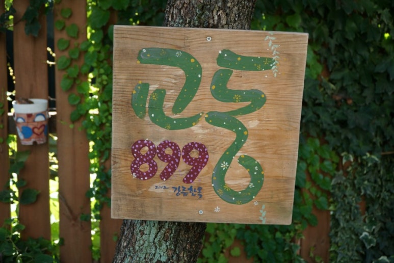 교동899 이미지