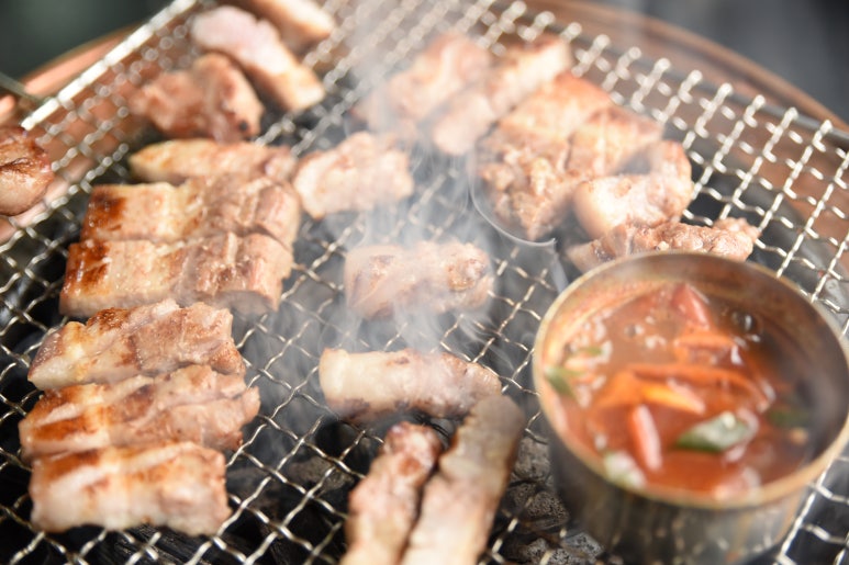 제주도야지 이미지