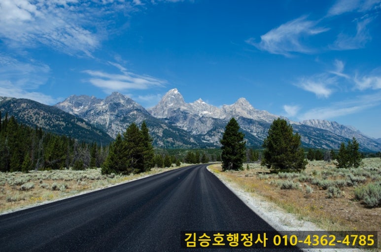 새로이여행사 이미지