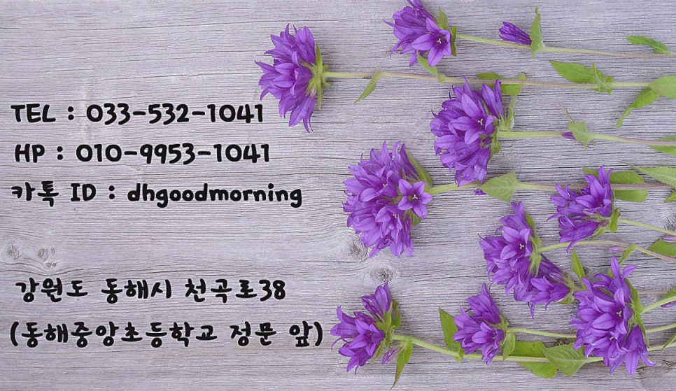 동해바구니 이미지