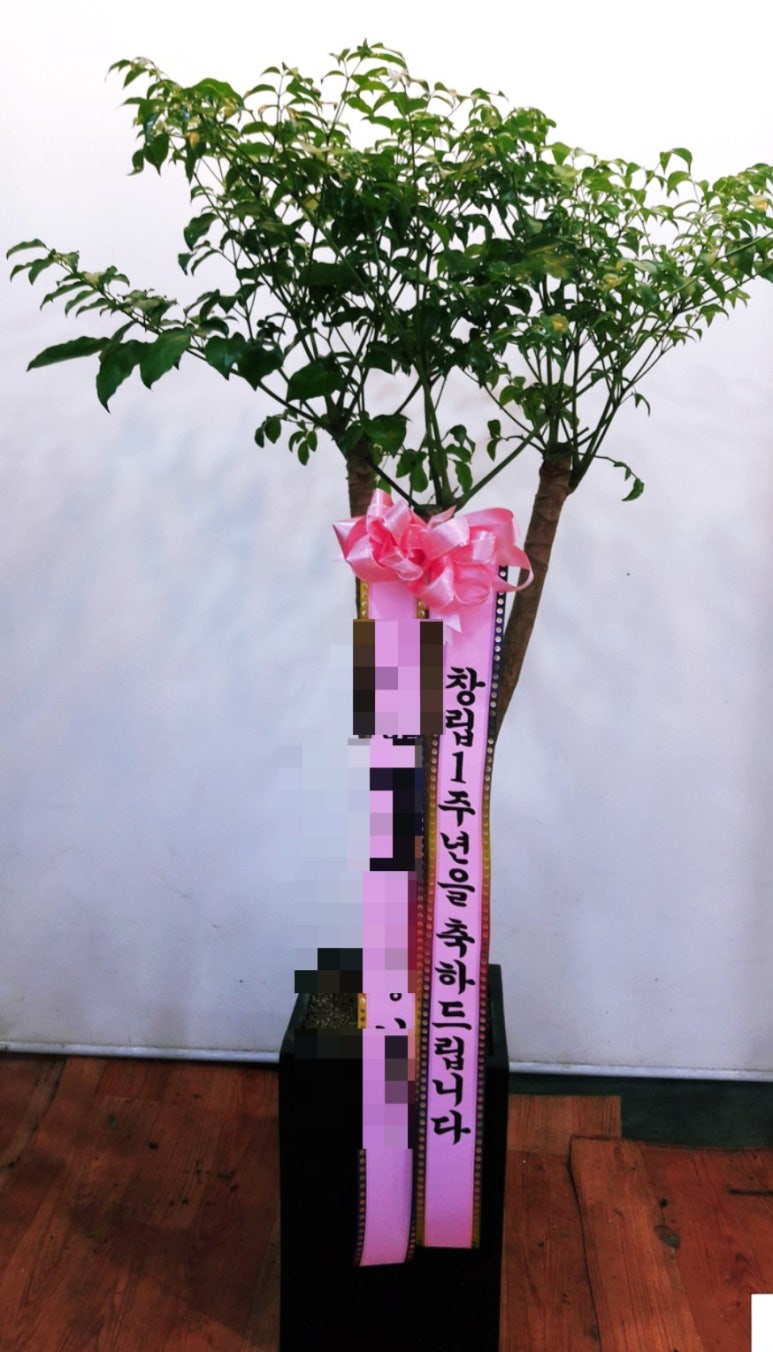 천지연플라워 이미지