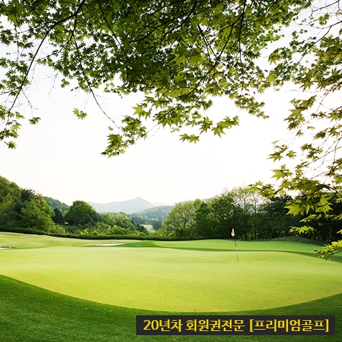 금사호가 이미지