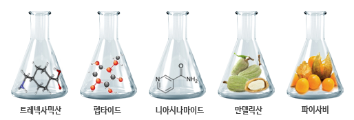 티엠피 이미지