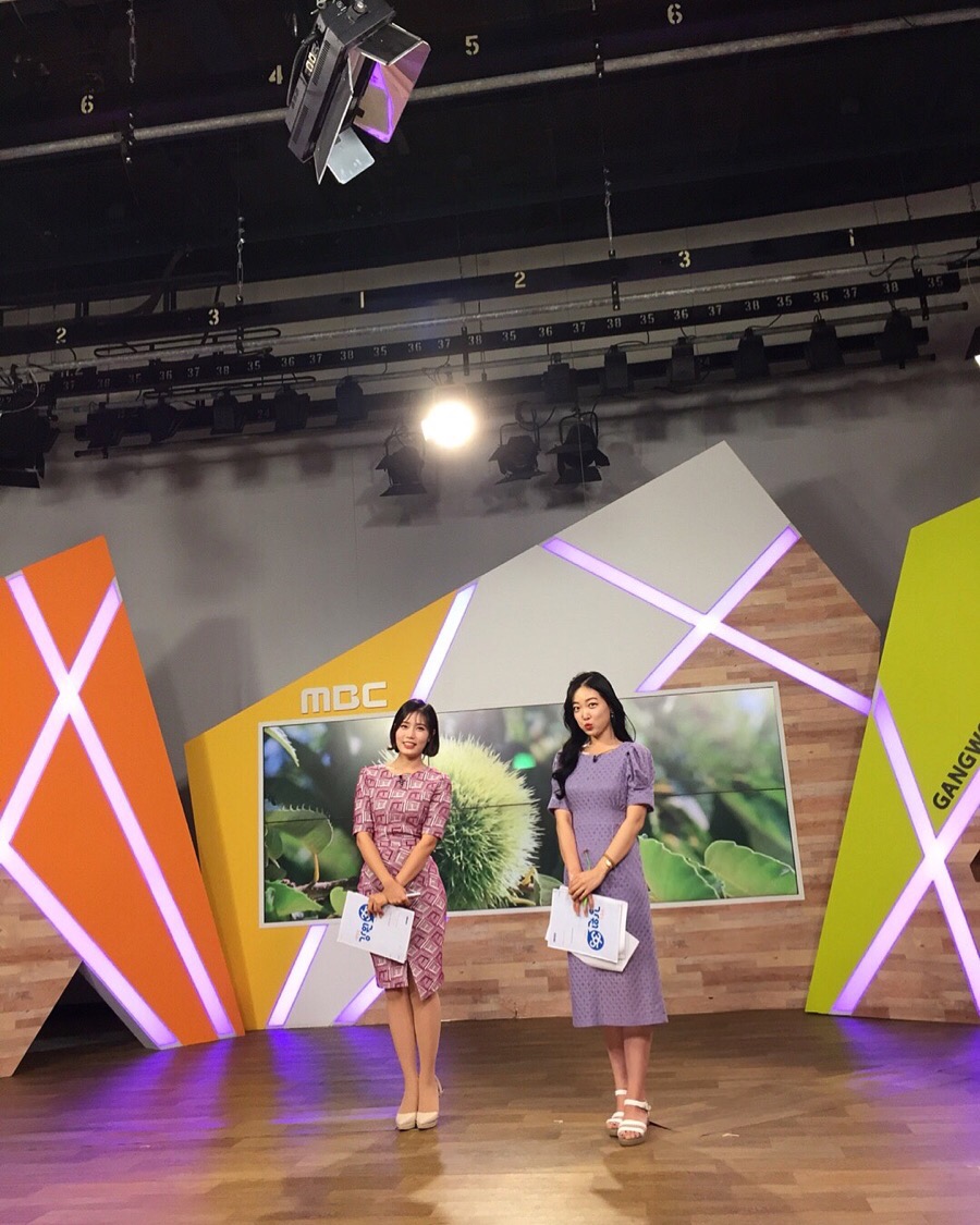 365스튜디오 이미지