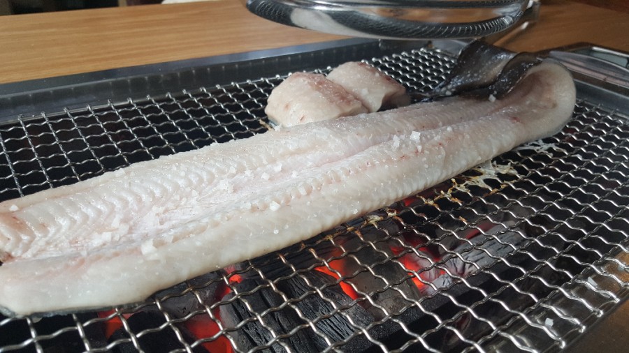 장어나다 이미지