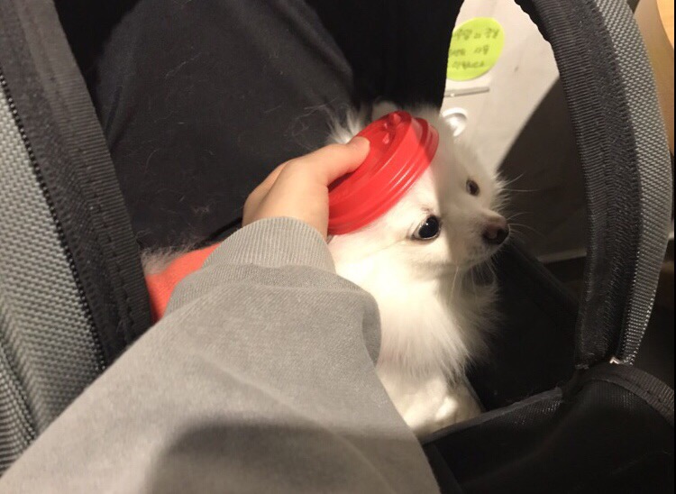 커피아 이미지