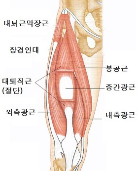 청춘휘트니스 이미지