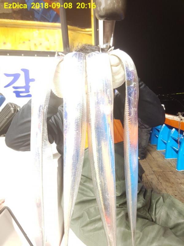 뉴태진호 이미지