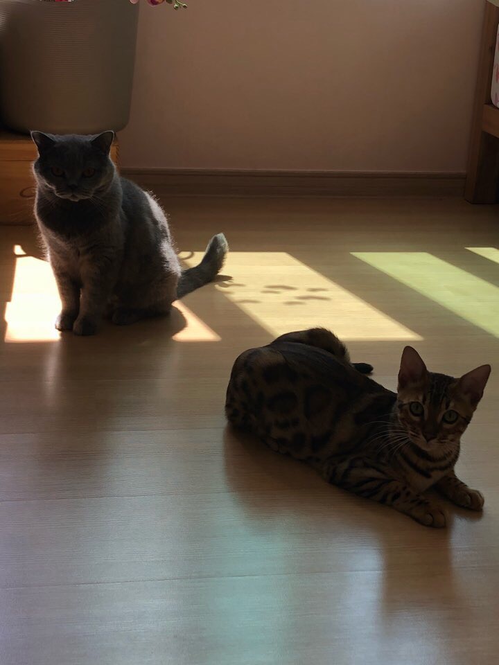 바나바스 이미지