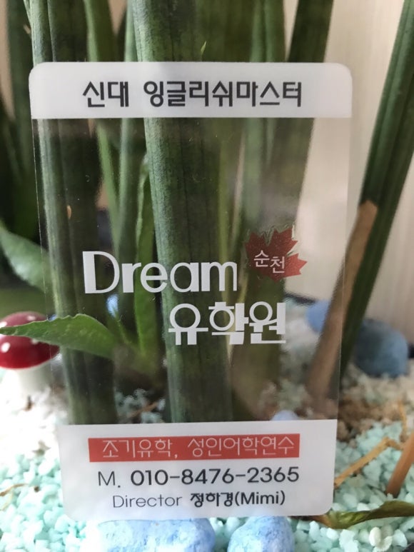 드림유학원 이미지