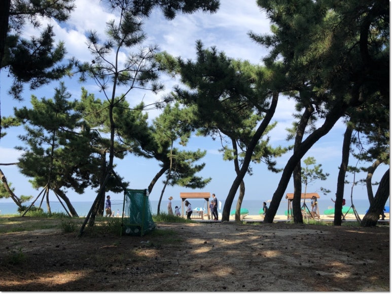 노빌레펜션 이미지