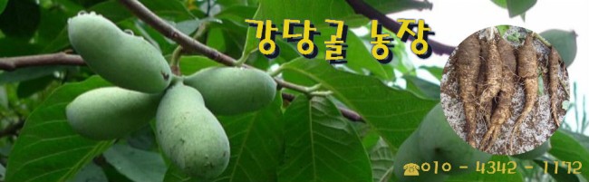 태공푸드 이미지