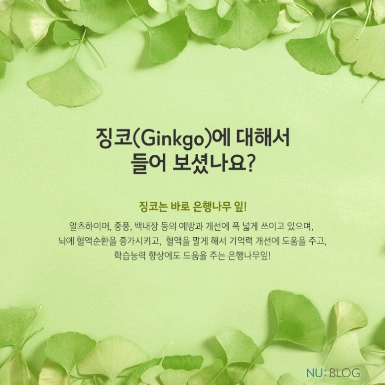 징코바이오 이미지