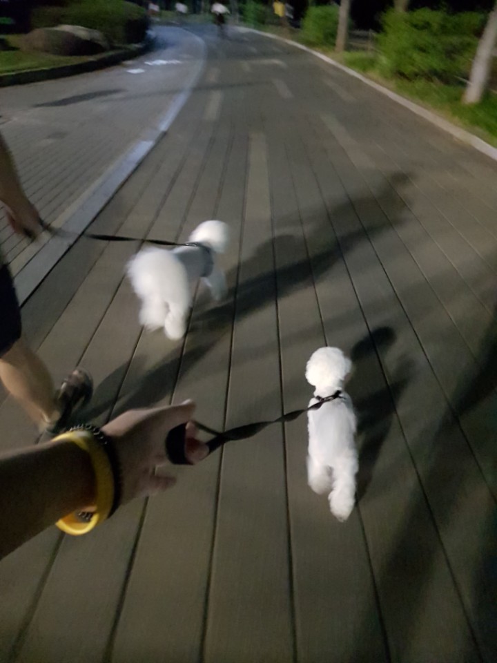키다리분식 이미지