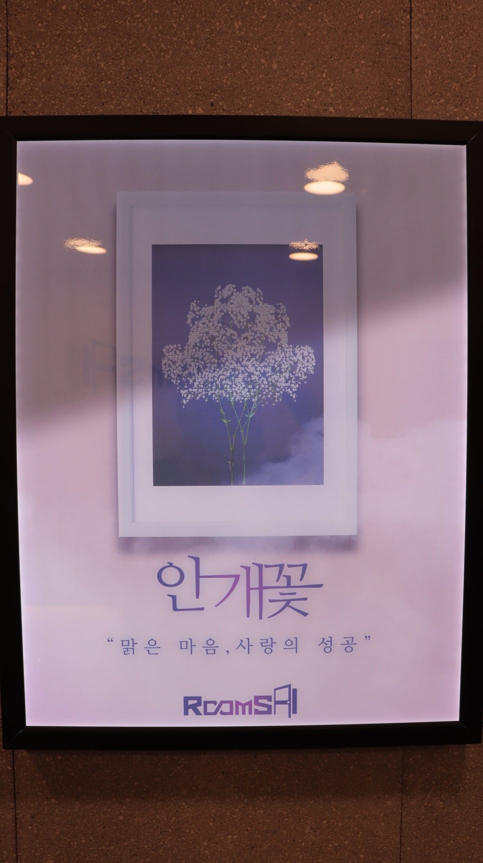 룸즈에이대전 이미지