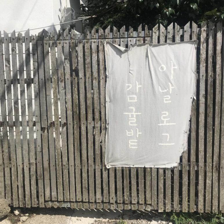 아날로그감귤밭 이미지