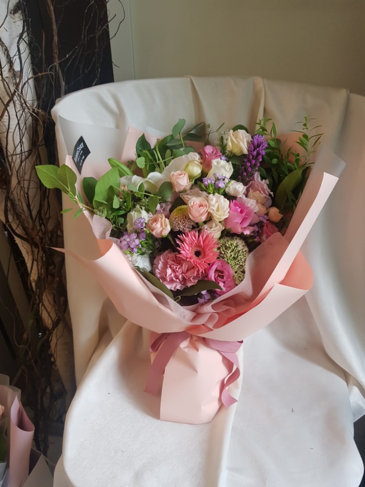 로젠코지 이미지