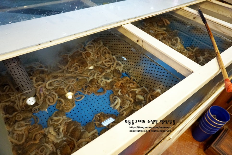 영자맛포차 이미지