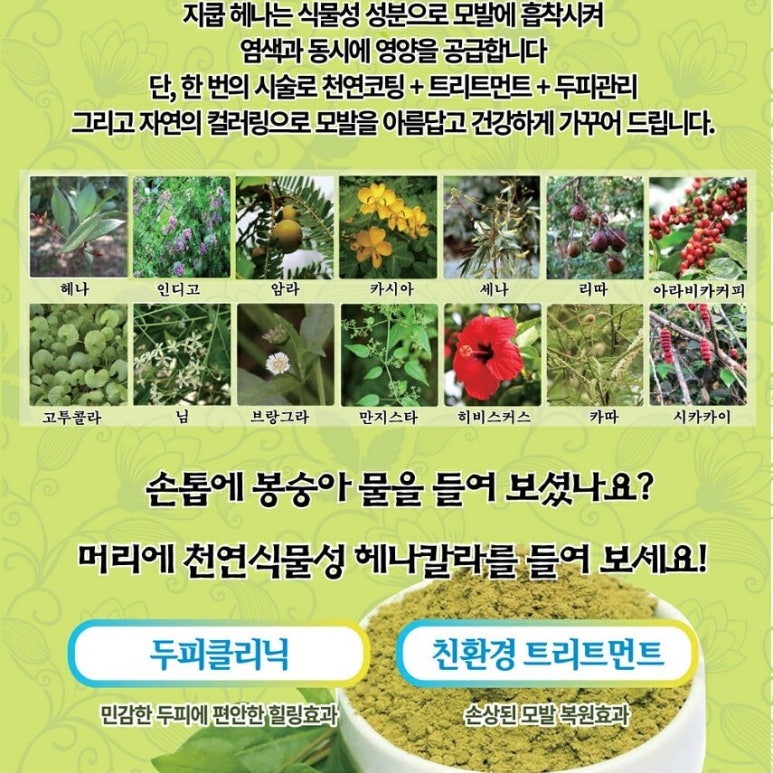 자연헤나 이미지