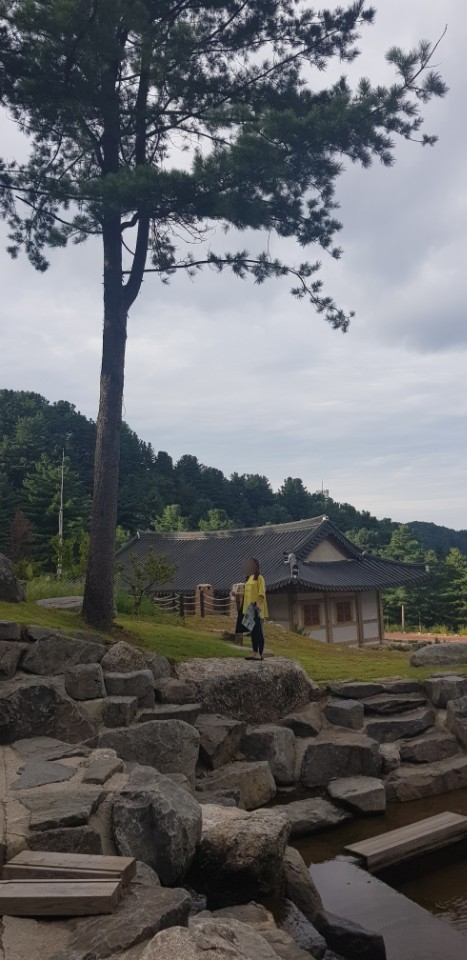더원행정사사무소 이미지