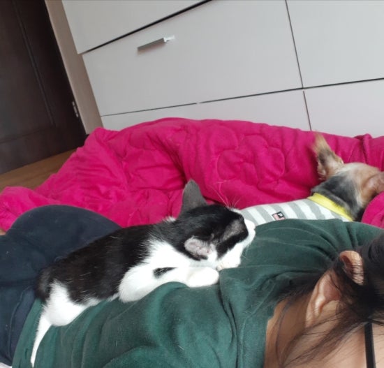 이가숯불화로구이 이미지