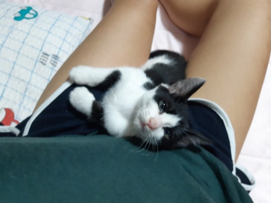 이가숯불화로구이 이미지
