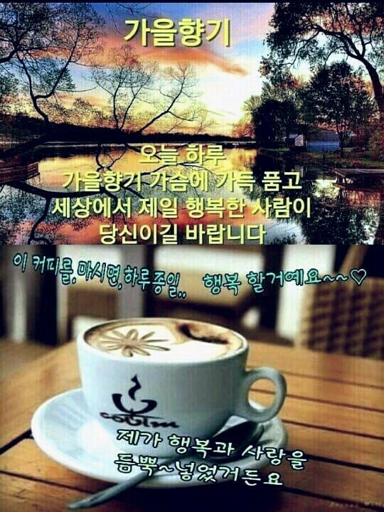 세기냉열 이미지