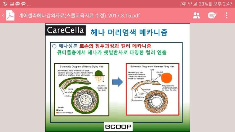 자연헤나 이미지