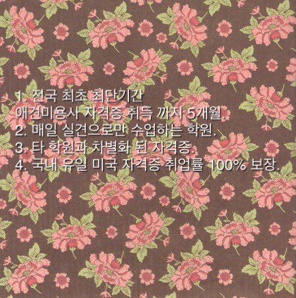 프로펫애견미용학원 이미지