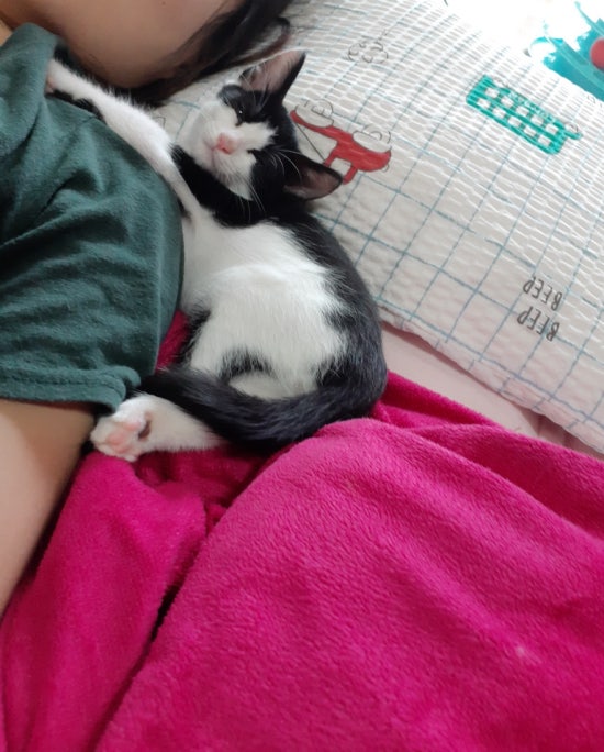 이가숯불화로구이 이미지