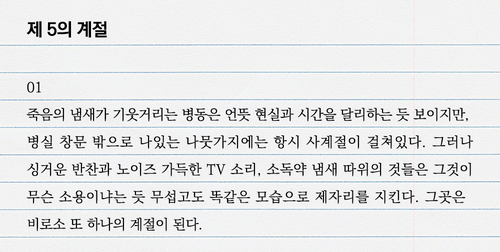 넘버원청년들 이미지