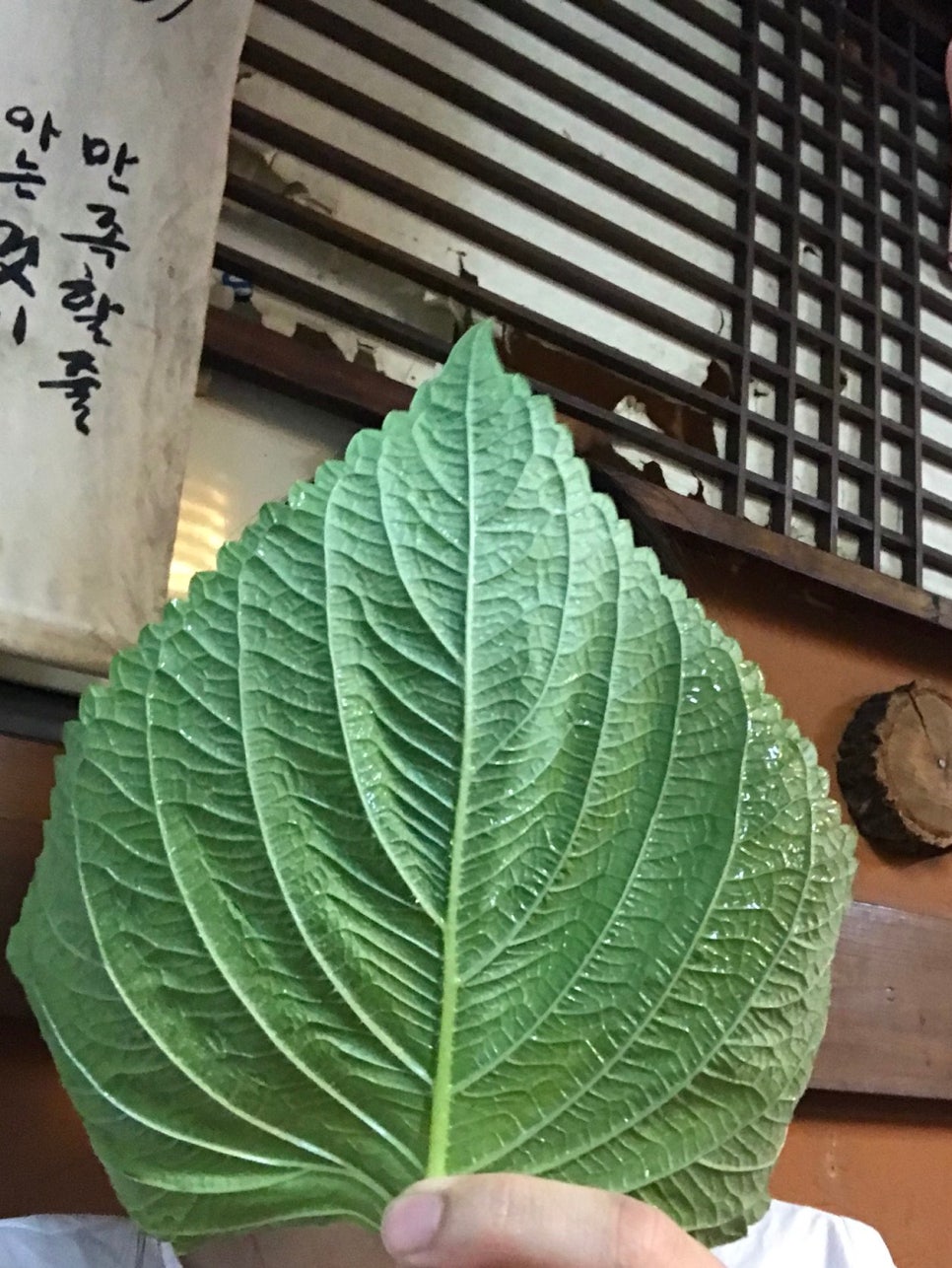 고바우연탄불생고기 이미지